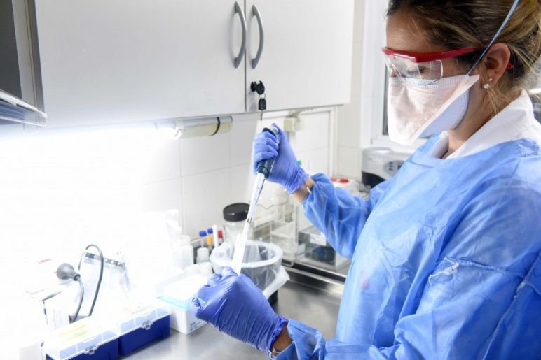 Coronavirus: llegaron al país 31 mil reactivos para descentralizar el diagnóstico