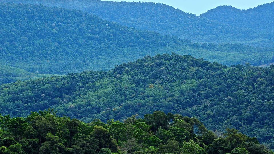 Misiones logró su anhelado corredor biológico: está ubicado entre los parques provinciales Foerster y Uruguaí