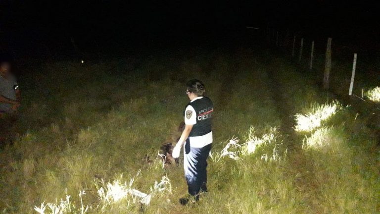 Homicidio en Santiago de Liniers: encontraron el cuerpo de un hombre con herida de arma de fuego en la cabeza
