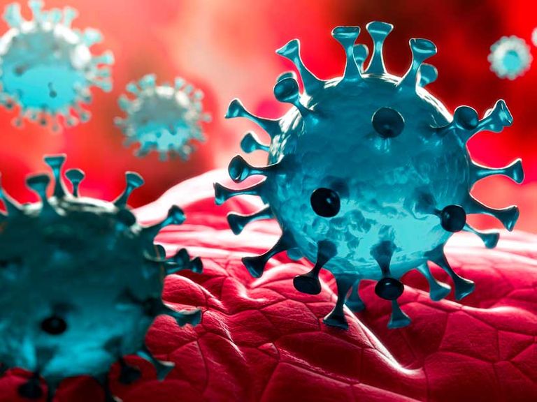Coronavirus: fallecieron tres mujeres en Chaco, La Rioja y Córdoba, y los fallecidos suman 27