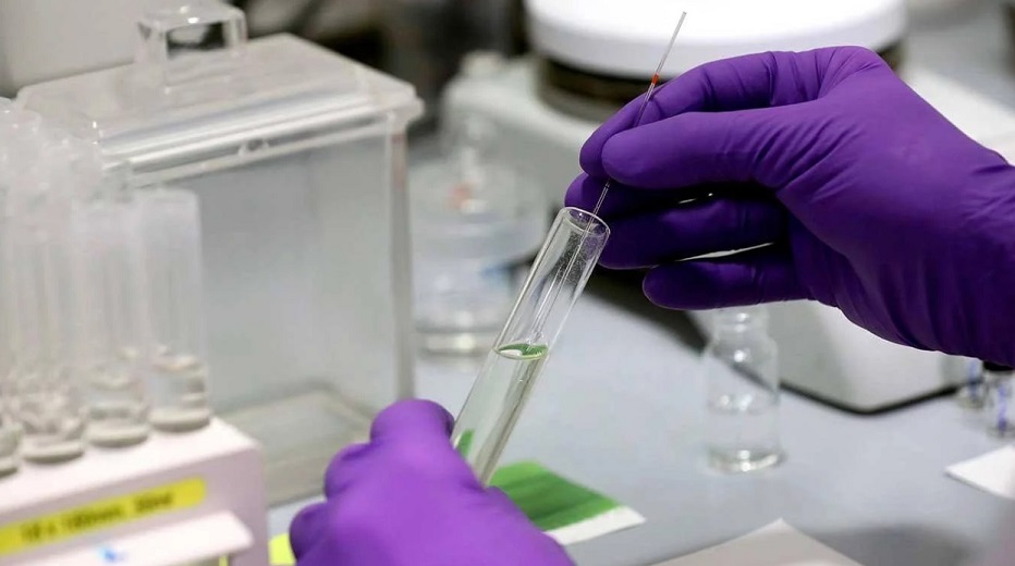 Coronavirus: el Malbrán comenzó el proceso de descentralización del test