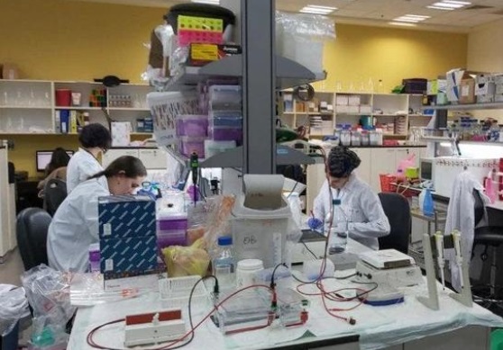 Científicos de Brasil descubrieron posible medicamento para frenar la expansión del coronavirus