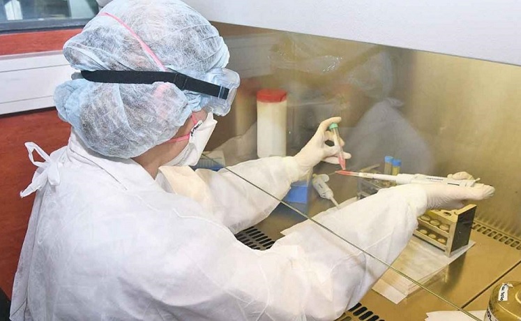 Coronavirus en Misiones: 815 finalizaron el aislamiento y 150 casos fueron descartados