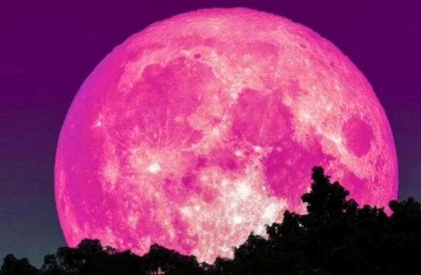 ¿Qué es la luna rosa y cuándo se la podrá ver en Argentina?
