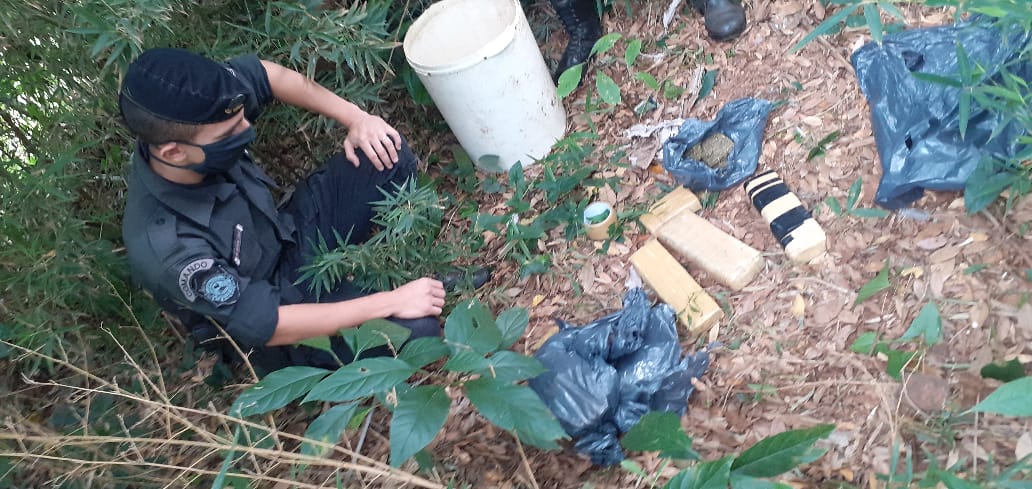 Incautaron panes de marihuana ocultos en un baldío de Posadas
