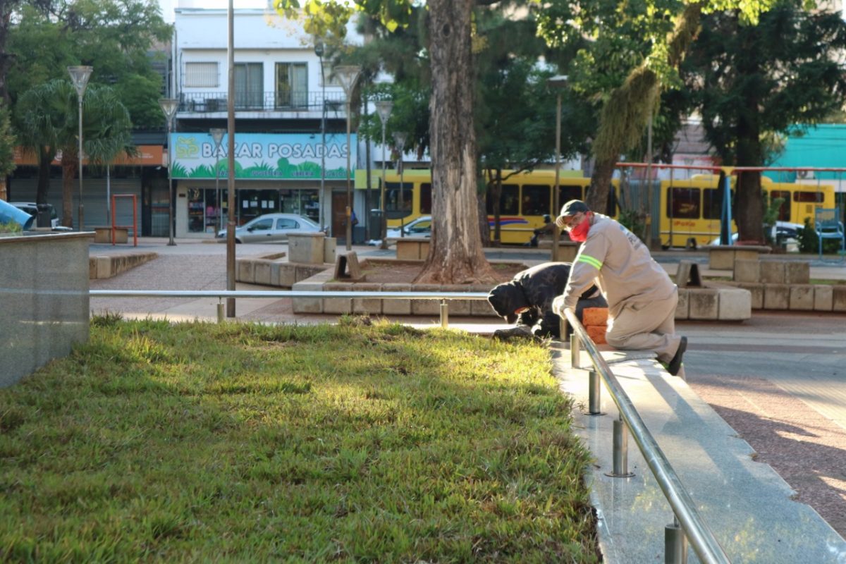 Realizan arreglos en la plaza San Martín de Posadas