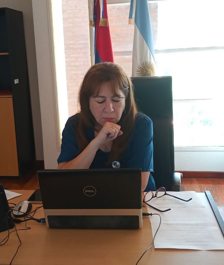 Misiones formó parte de la reunión del Consejo Federal de las mujeres