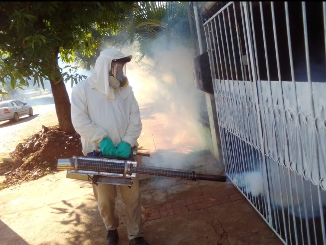 Dengue: intensos operativos de fumigación y desinfección en Posadas