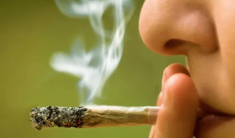 Advierten que la marihuana empeora el coronavirus