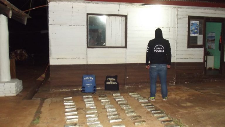 Secuestraron 54 "panes" de marihuana en un pinar de Puerto Libertad