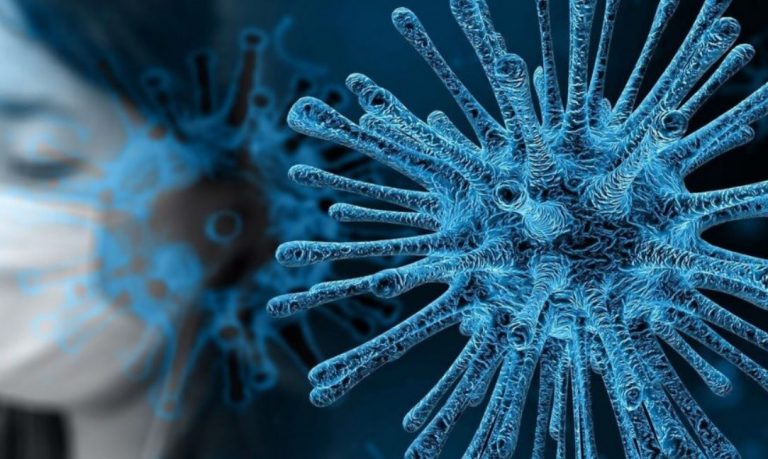 Coronavirus en Misiones: sin casos sospechosos y 84 fueron descartados