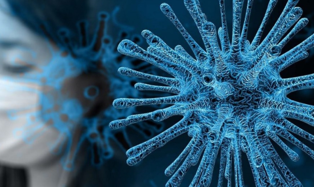 Coronavirus en Misiones: sin casos sospechosos y 84 fueron descartados