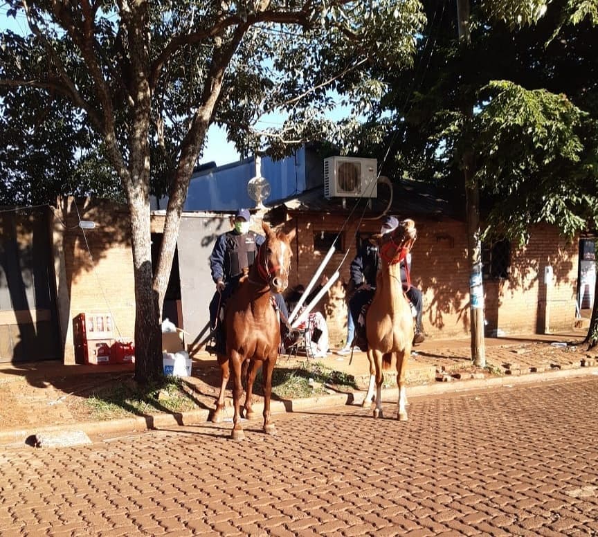 policía montada (3)