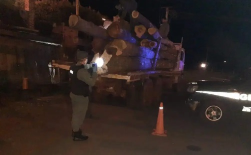 Alem: interceptaron un camión que transportaba madera nativa sin aval de circulación