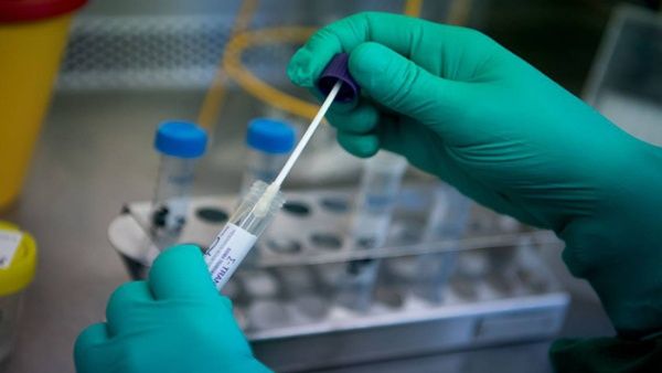 Covid-19: Misiones sigue sin nuevos casos positivos y con seis recuperados