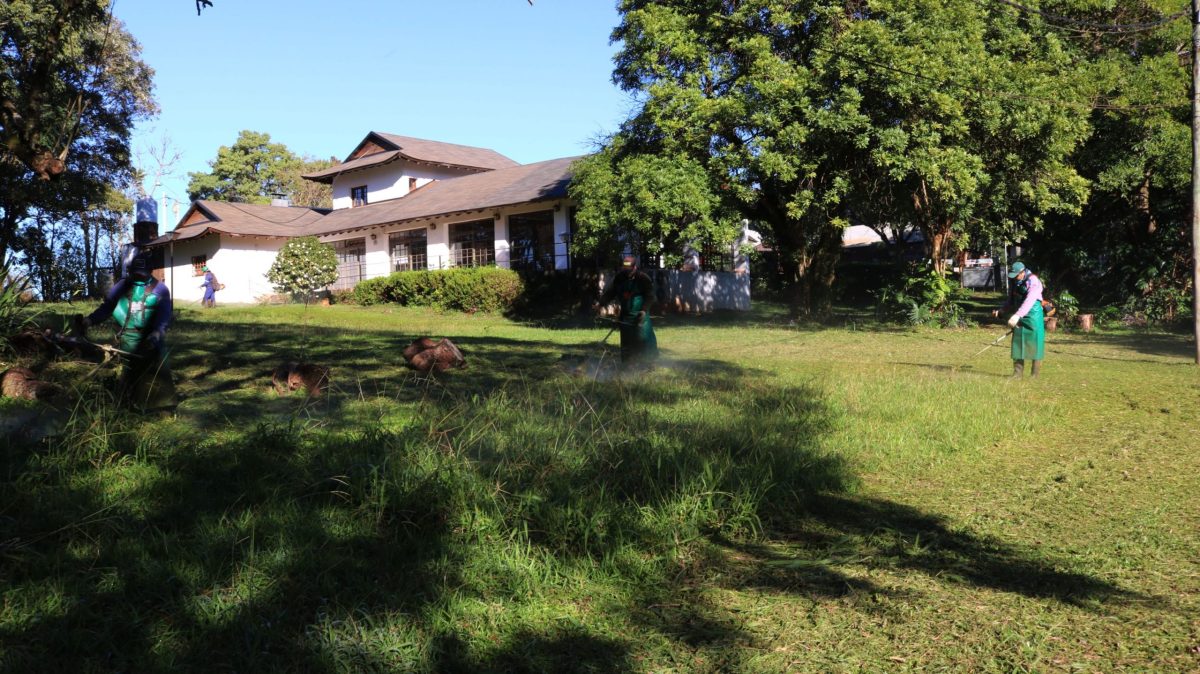 Realizan desmalezamiento y podas en espacios públicos de Oberá 1 2 - Desmalezamiento Parque de las Naciones 2 scaled - 1