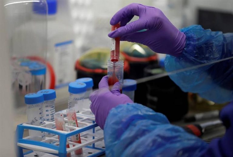 Coronavirus: la OMS suspendió los ensayos con hidroxicloroquina al detectar mayor mortalidad