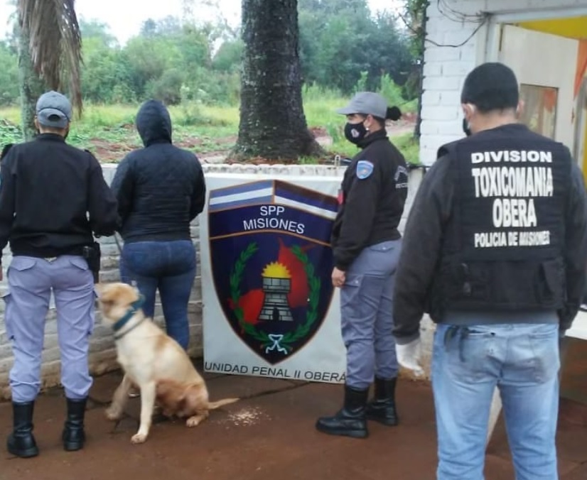 Oberá: una mujer intentó ingresar con 9 gramos de marihuana a la Unidad Penal II