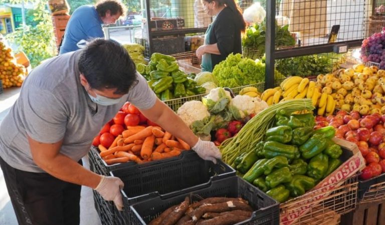 Acelga, tomates, zapallitos, repollos, variedad y precios en el Mercado Concentrador de Posadas