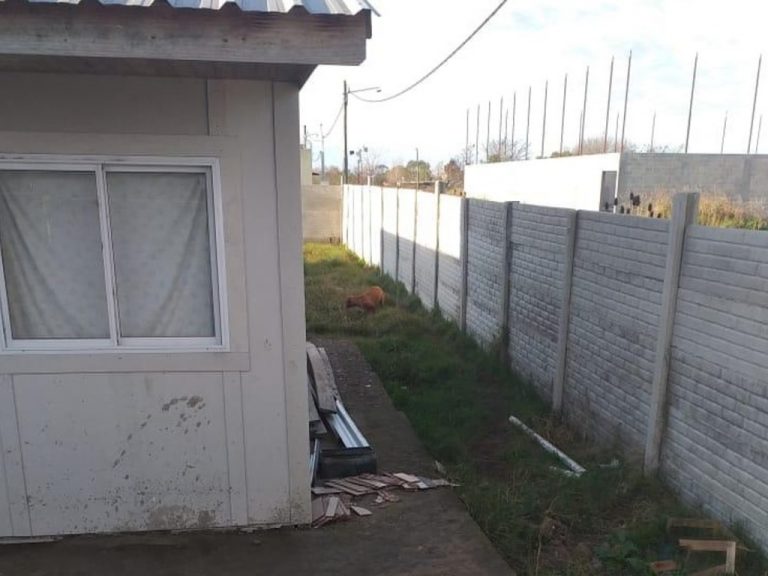 Buenos Aires: entró a robar a una casa y murió tras ser atacado por dos perros