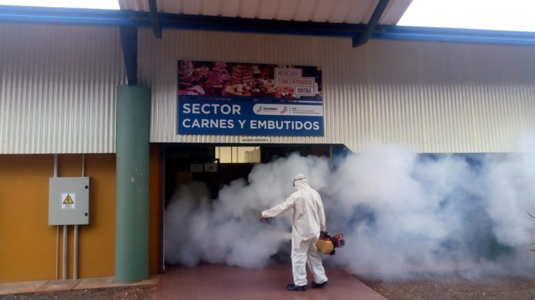 Realizaron tareas de fumigación y desinfección del Mercado Concentrador de Oberá