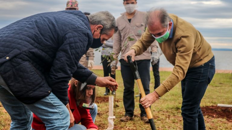 Nuevo pulmón verde en Posadas: plantaron 50 árboles en la playa de Miguel Lanús