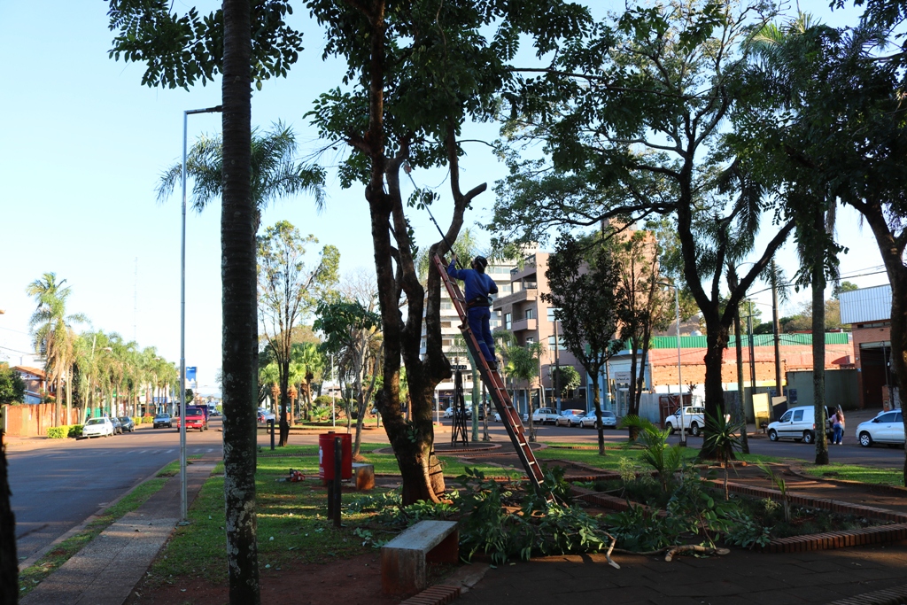 Realizan trabajos de mejoras en plazas y plazoletas de Oberá