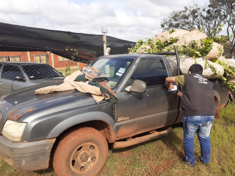 Alem: interceptaron una camioneta cargada de yerba mate robada