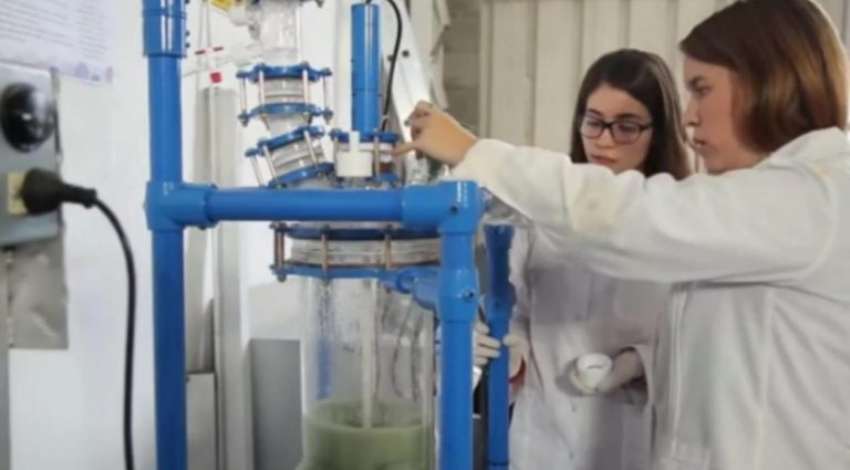Científicas argentinas desarrollan un gel para cortar la circulación del COVID-19