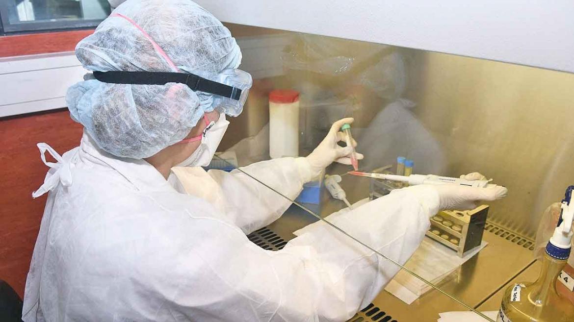 #Coronavirus en Argentina: con 1386 nuevos casos, son 27.373 los infectados y 765 los muertos