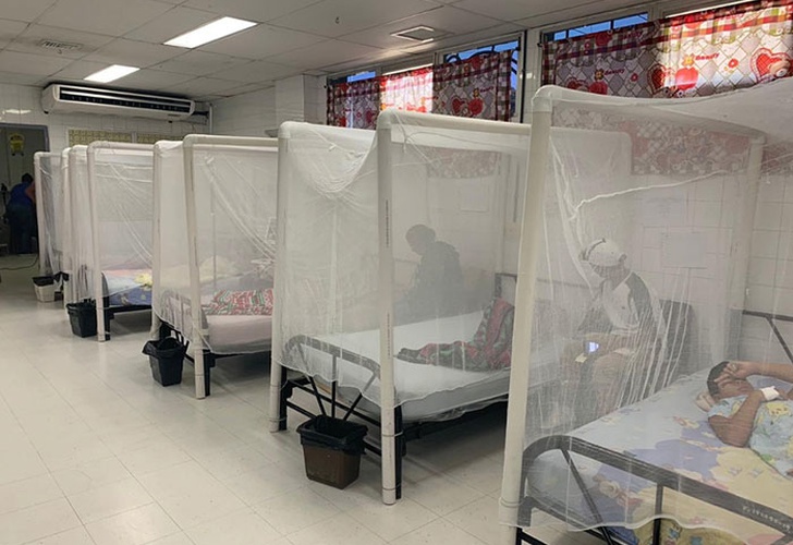 Más preocupación en la frontera: ya son más de 18 mil los casos de dengue en Foz