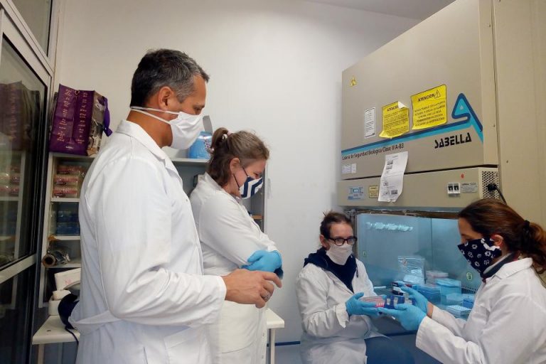 Coronavirus: científicos argentinos desarrollaron un método de testeo por grupos