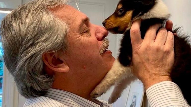 Alberto Fernández presentó a Kaila, la hija de su perro Dylan