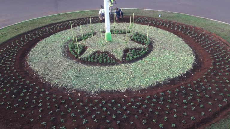 Desarrollan la plantación de plantines ornamentales en espacios públicos posadeños
