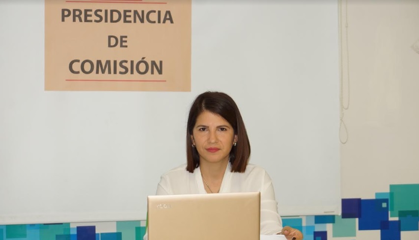 Legislatura: realizaron por videoconferencia las primeras audiencias públicas del año