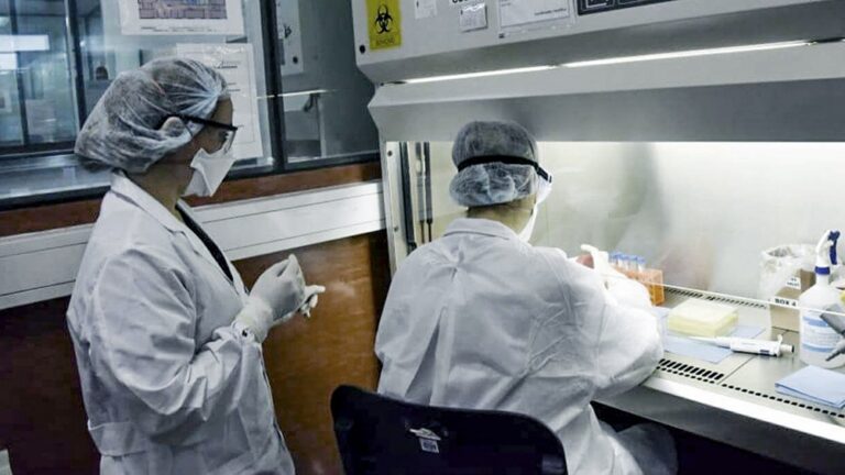 #Coronavirus: suman 2.702 los fallecidos y 148.027 los contagiados en Argentina