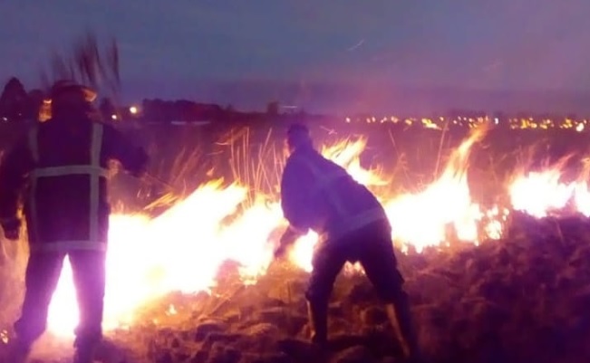 Bomberos sofocaron un incendio de pastizales en Posadas