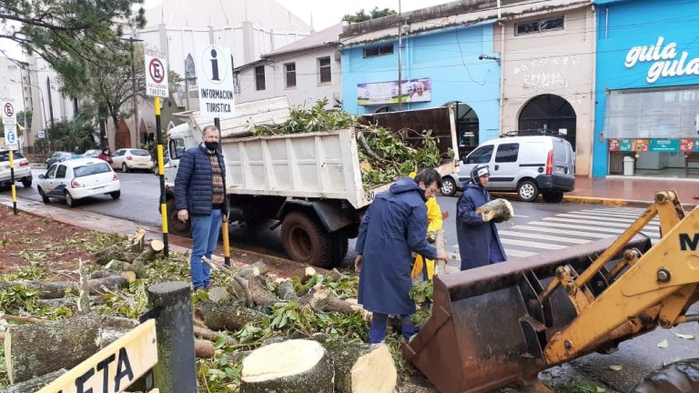 Oberá: continúa la limpieza de la ciudad tras el temporal del martes 