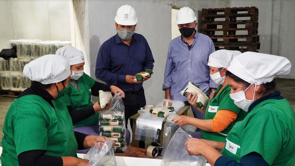 Continúa a buen ritmo la producción de azúcar rubio y la elaboración de alcohol del Ingenio de San Javier