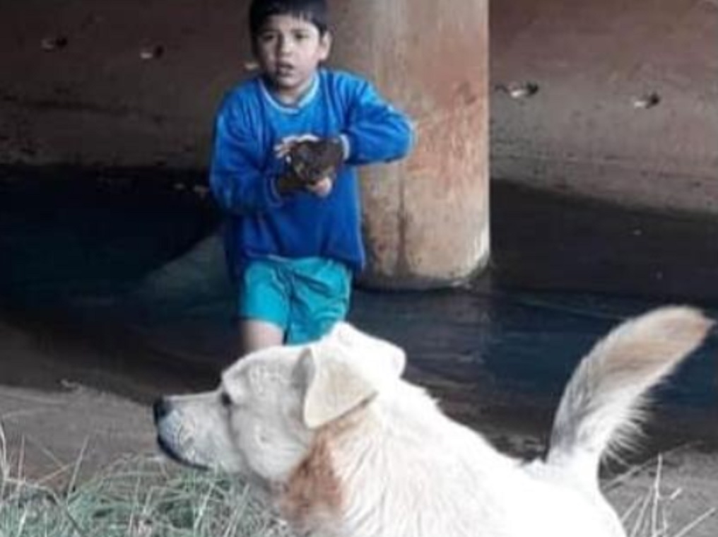 Posadas: intenso operativo de búsqueda de un niño de 9 años extraviado en el barrio Itaembé Guazú
