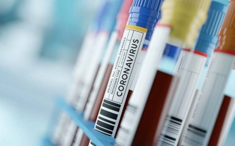 #Coronavirus: con dos nuevos recuperados, Misiones ya no tiene casos activos