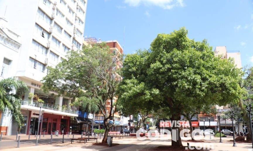 Tiempo: domingo soleado y fresco en Misiones