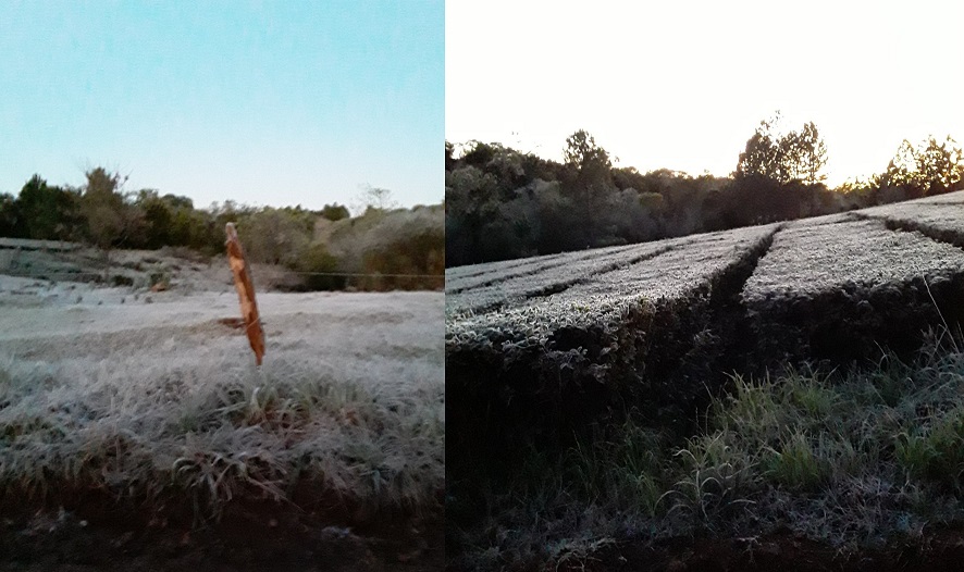 Intensas heladas en Misiones: la sensación térmica alcanzó los -3º bajo cero en algunas localidades