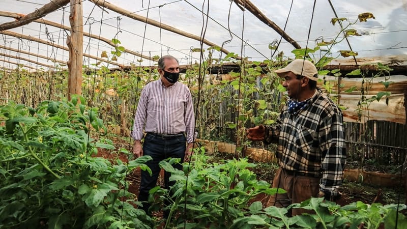Son cada vez más los posadeños que cosechan, siembran y generan sus propios alimentos