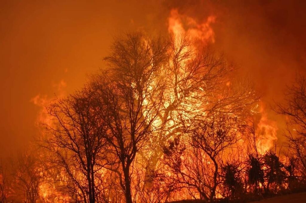 Casi 400 bomberos trabajan para combatir el fuego en Córdoba