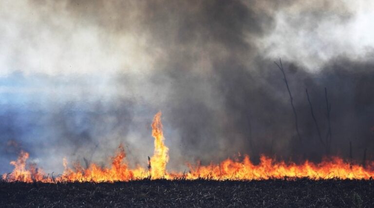 El Congreso aprobó la ley que impide la venta de terrenos incendiados por hasta 60 años