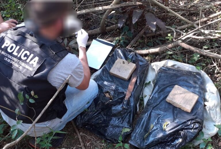 Durante un operativo hallaron 51 kilos de marihuana en San Ignacio