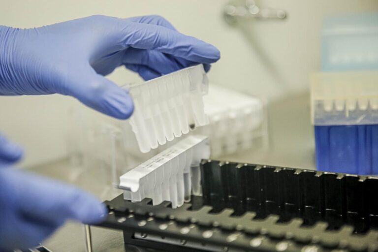 Oxford retoma los ensayos para su vacuna contra el coronavirus