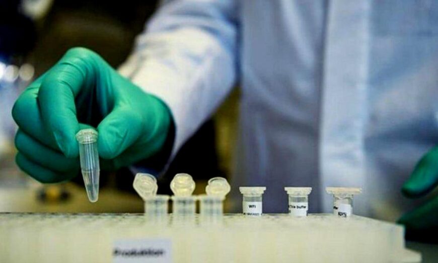 Covid-19 en Corrientes: con 24 nuevos casos positivos, suman 1.093 los contagiados