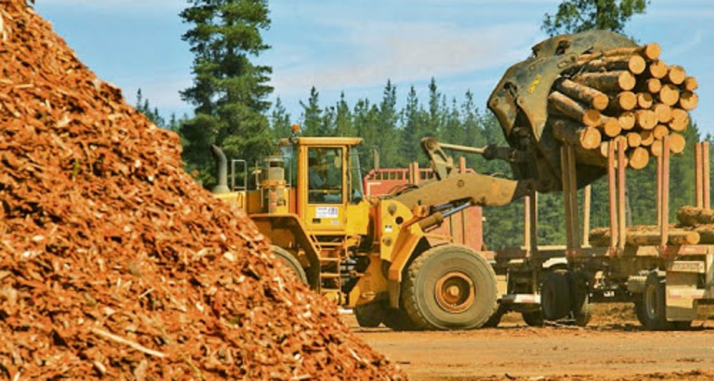 Forestoindustria: en Misiones evalúan medidas para potenciar la exportación de la madera